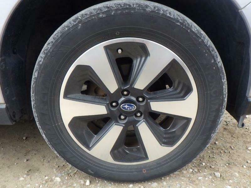 FORESTER-18