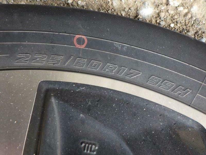 FORESTER-19