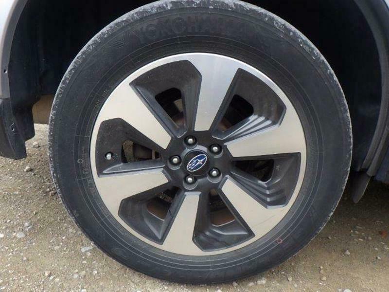 FORESTER-20