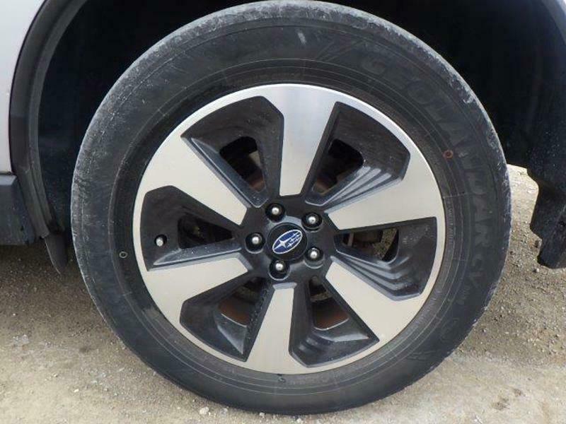 FORESTER-21