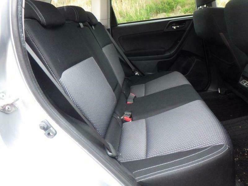 FORESTER-28