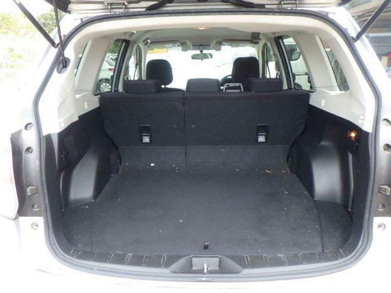 FORESTER-29