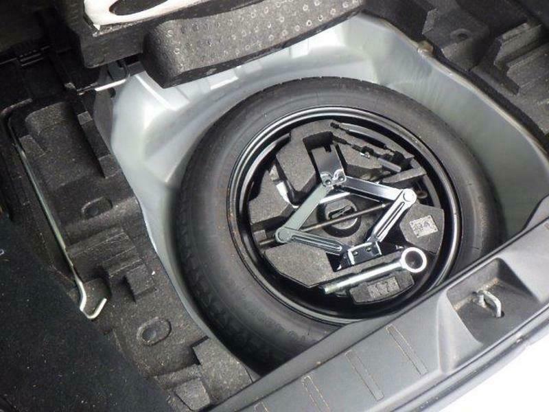 FORESTER-30