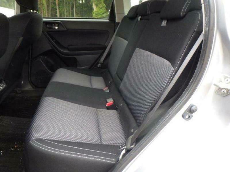 FORESTER-34