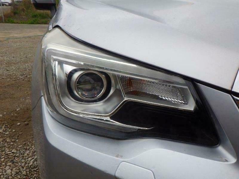 FORESTER-38