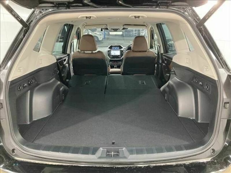 FORESTER-13