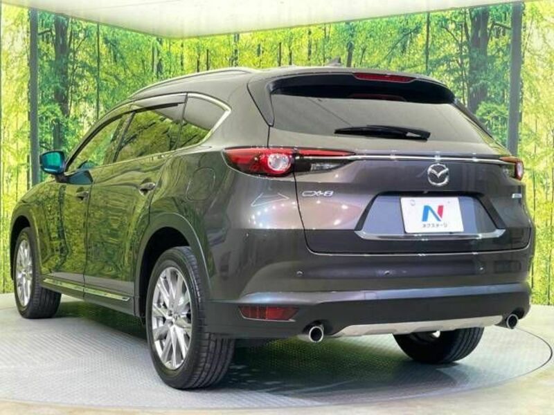 CX-8