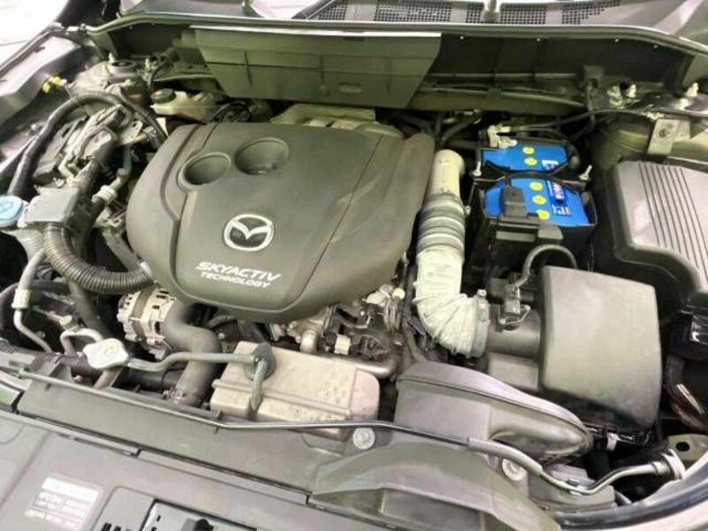 CX-8