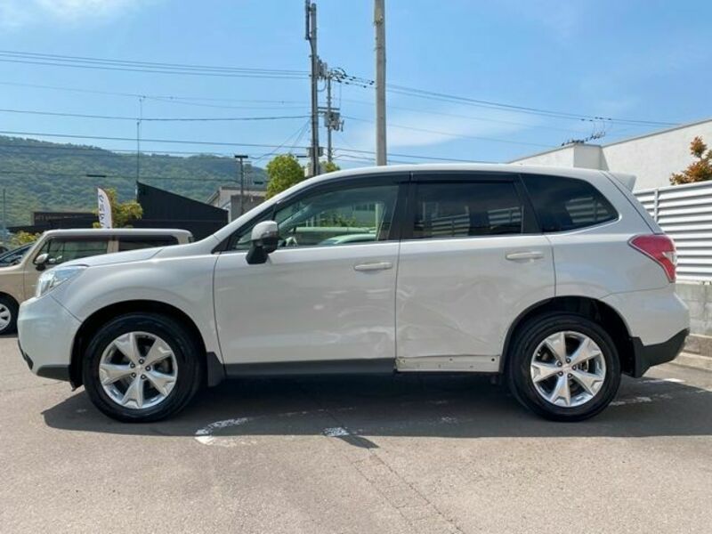 FORESTER