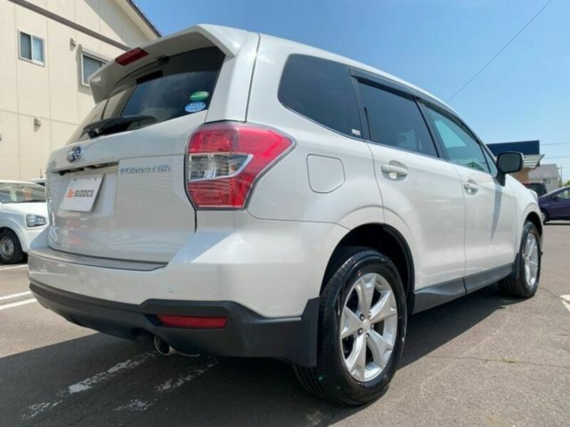FORESTER