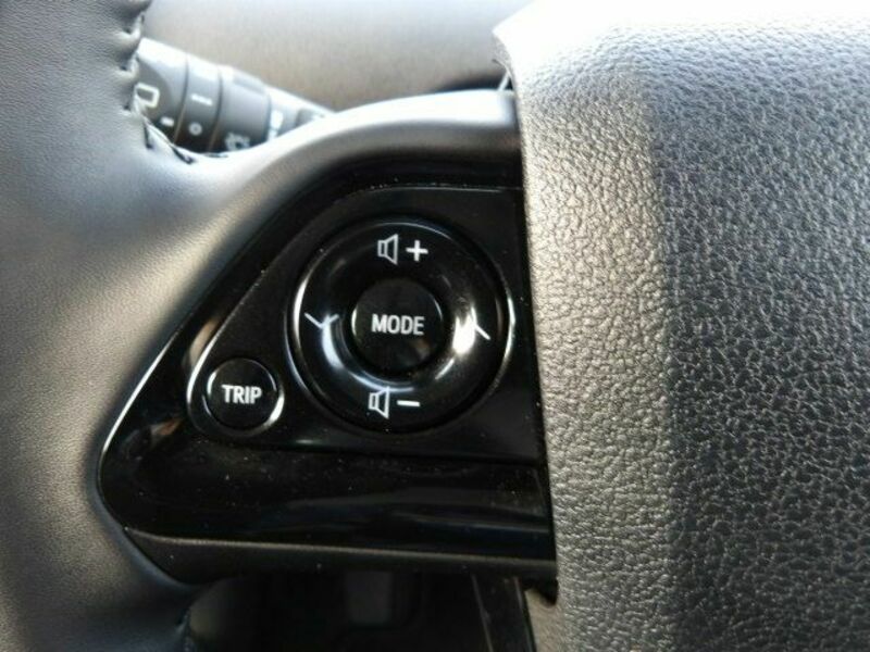PRIUS-13