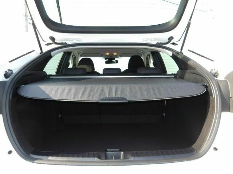 PRIUS-18