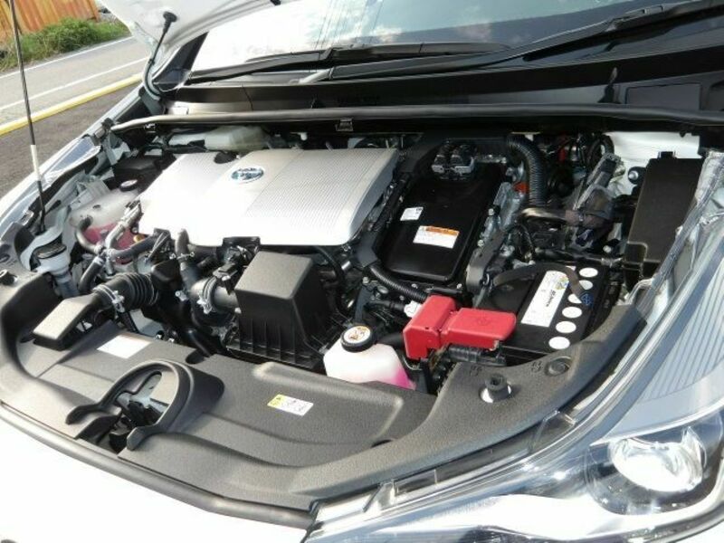 PRIUS-19