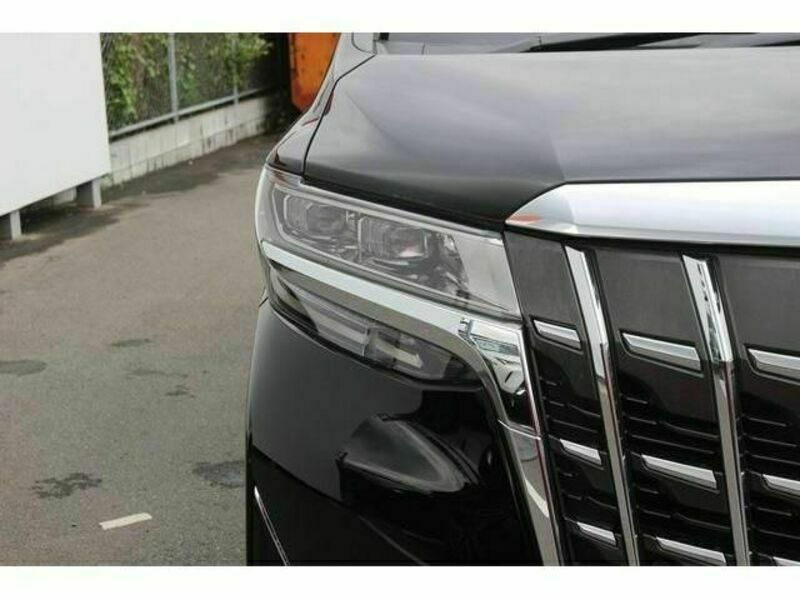 ALPHARD-11