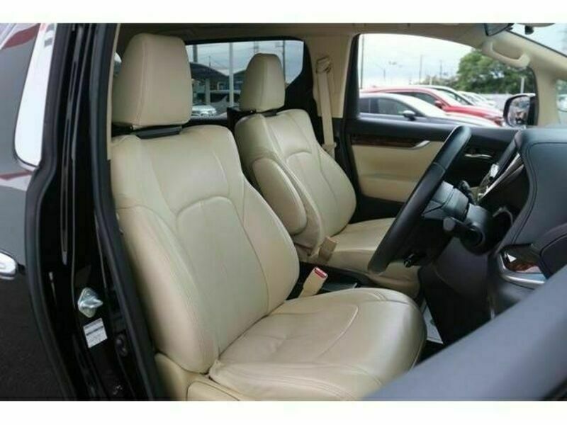 ALPHARD-13