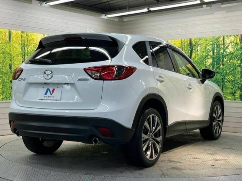 CX-5-16