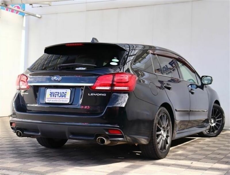 LEVORG