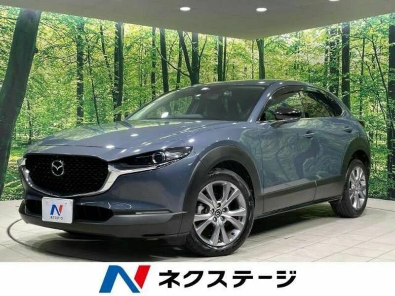 CX-30