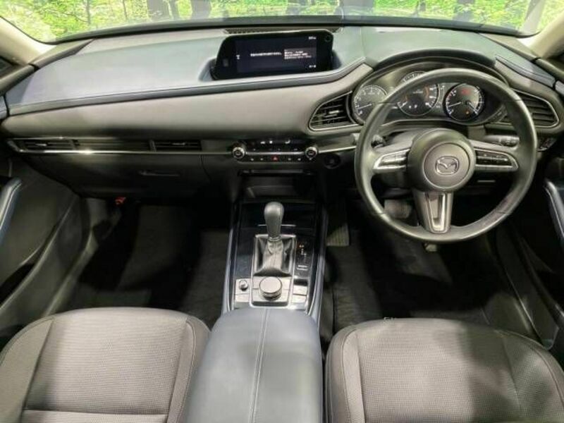 CX-30-1