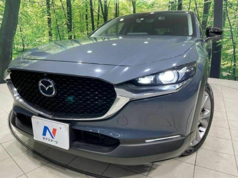 CX-30-12