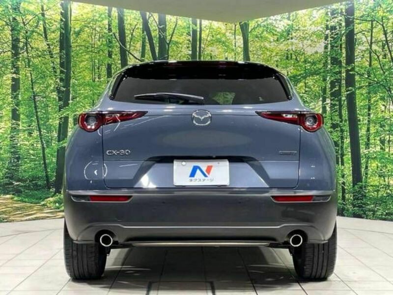 CX-30-15