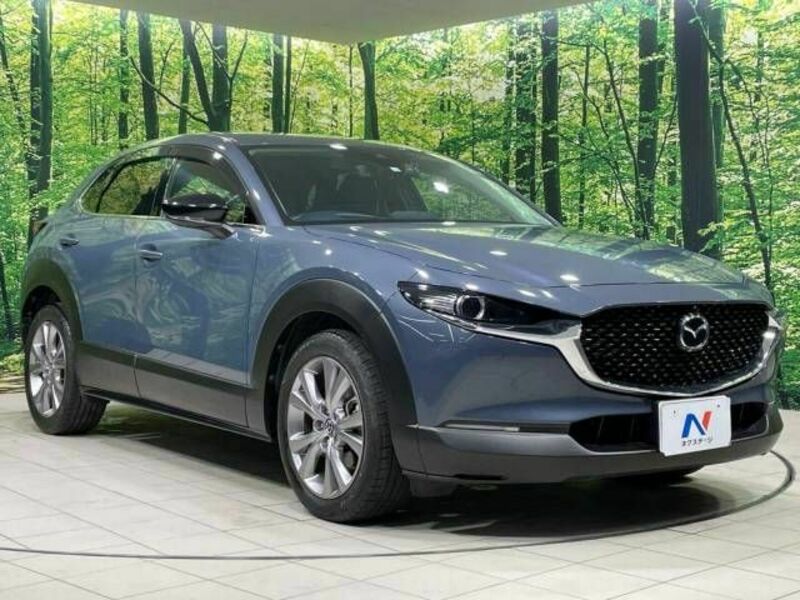 CX-30-16