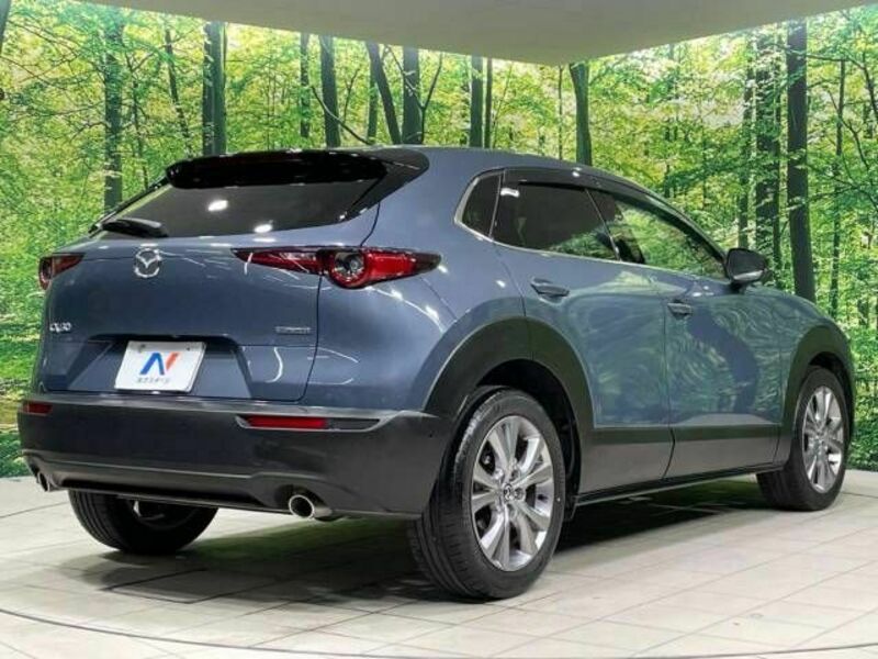 CX-30-17