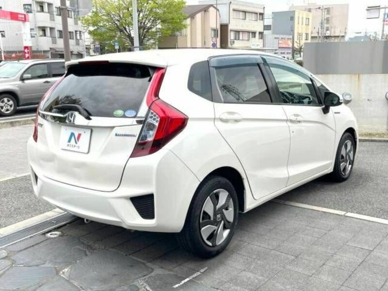 FIT HYBRID-19