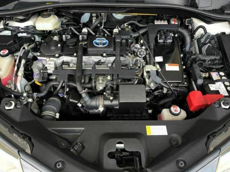 C-HR-17