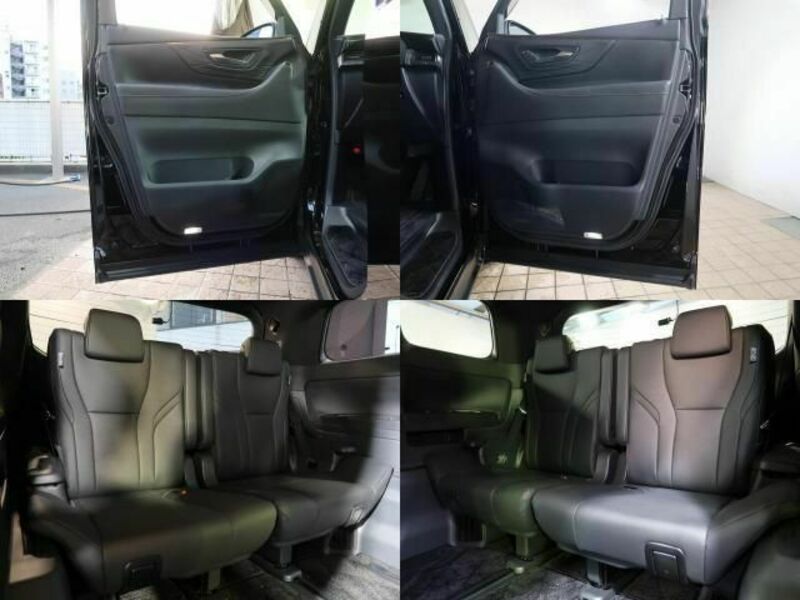 ALPHARD-6