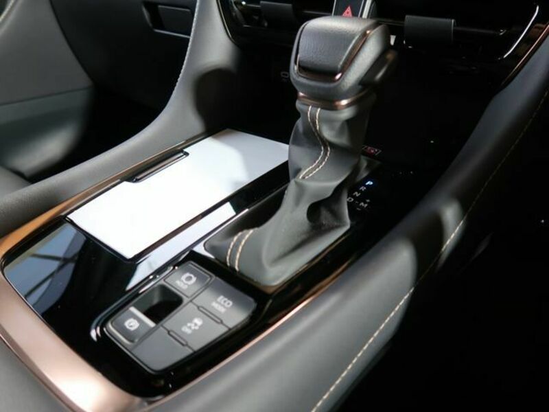 ALPHARD-22