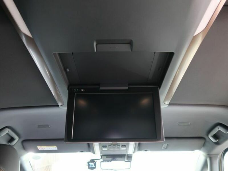 ALPHARD-29
