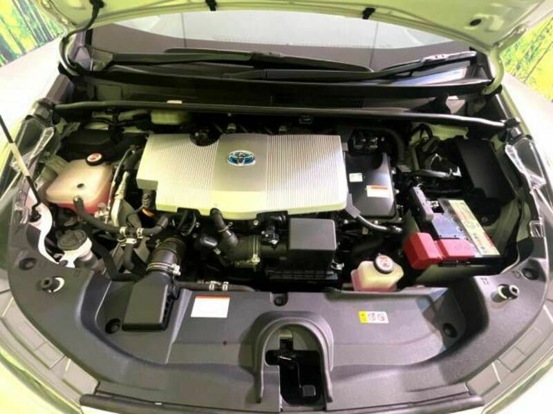 PRIUS-17