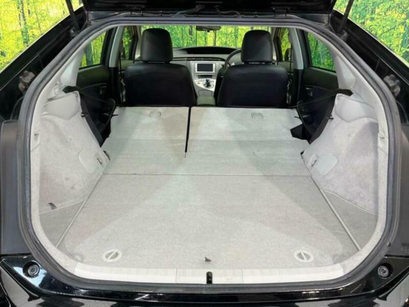 PRIUS-10