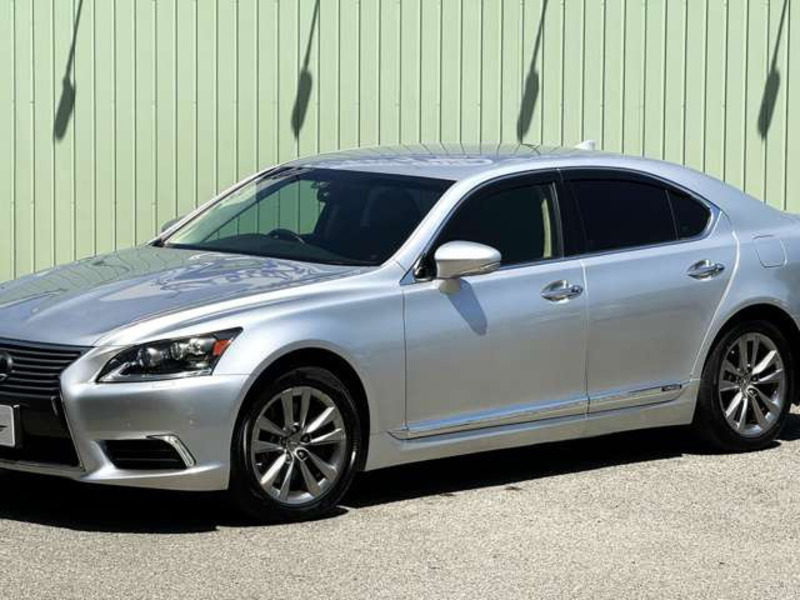 LS-19