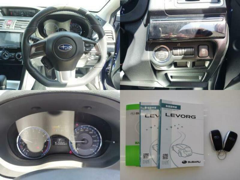 LEVORG-6