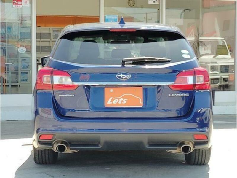 LEVORG-19