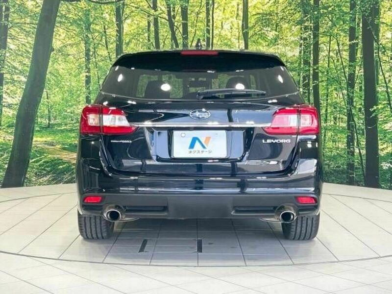 LEVORG
