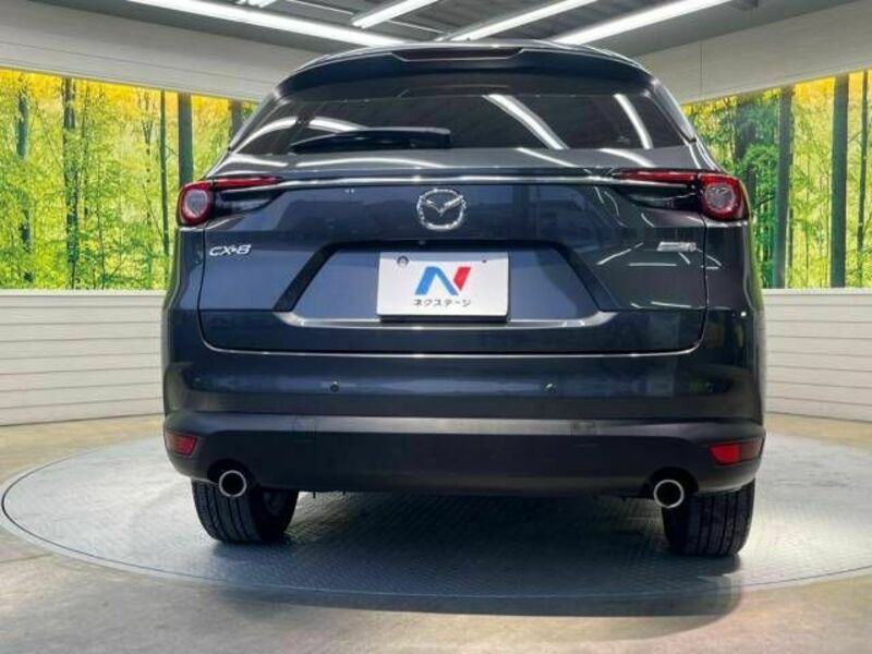 CX-8