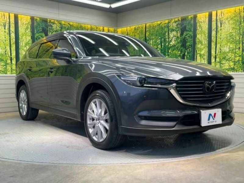 CX-8