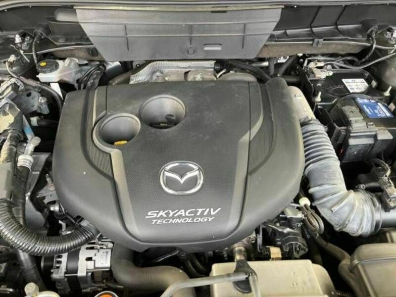 CX-8