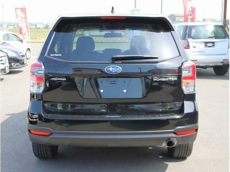 FORESTER-6