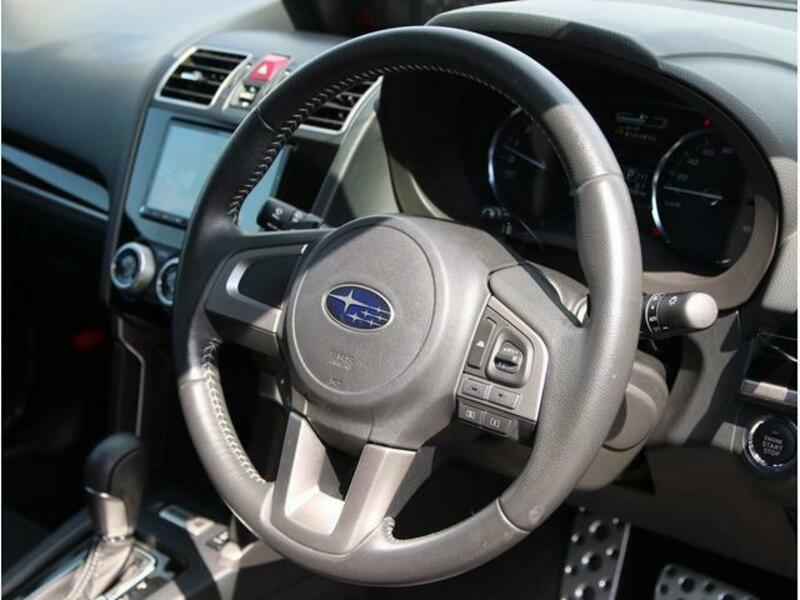FORESTER-17
