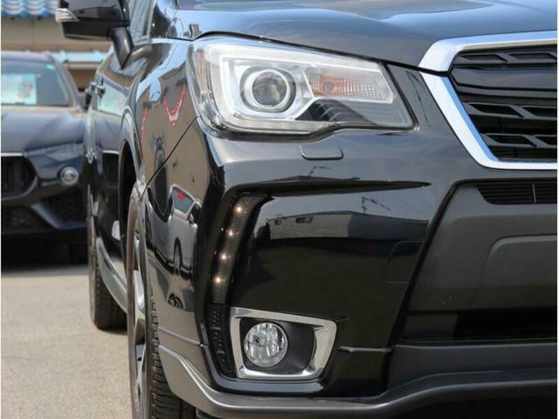 FORESTER-9