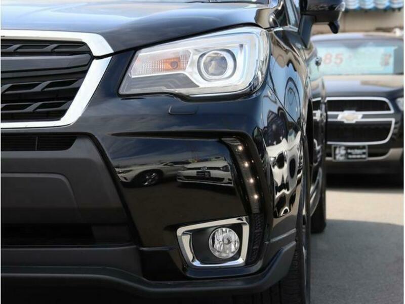 FORESTER-10