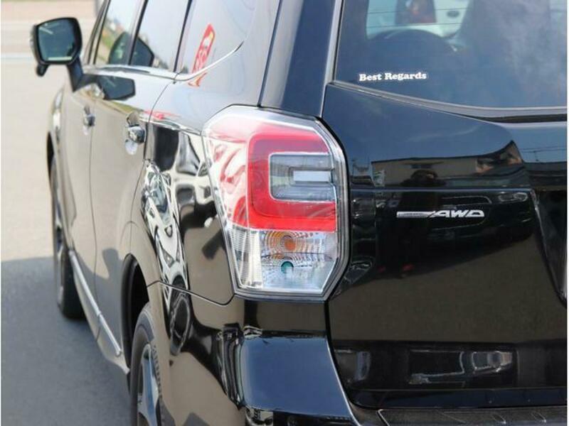FORESTER-13
