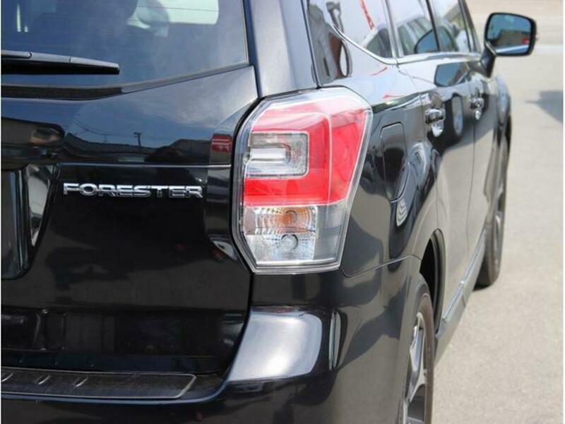 FORESTER-14