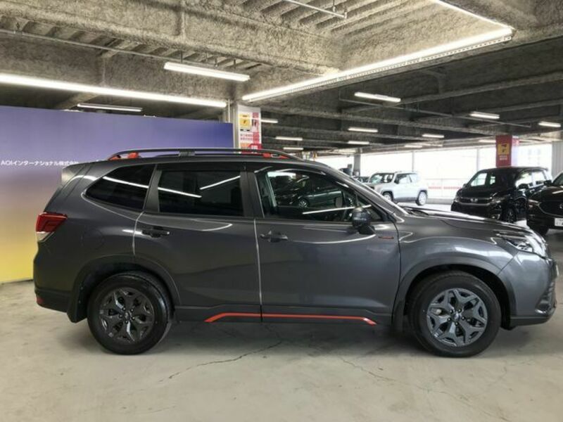FORESTER-9