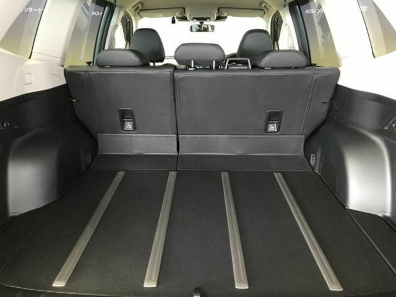 FORESTER-17