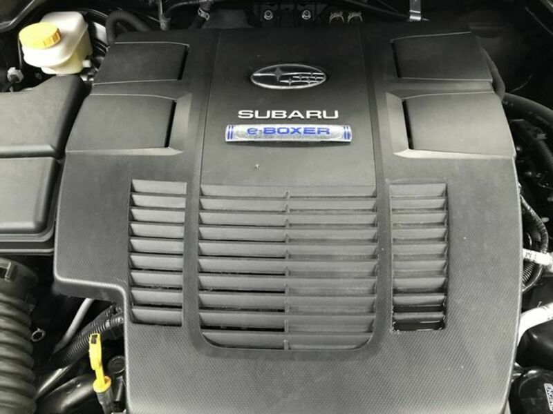 FORESTER-24